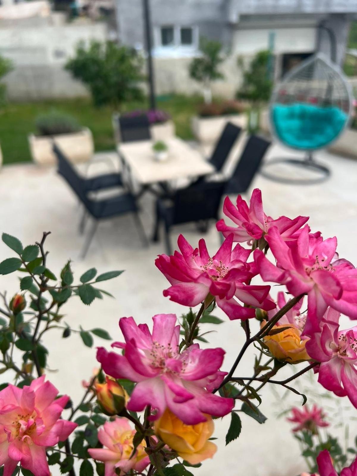 Sunny Hill - Parking - Fenced Garden - Luxury Loft Leilighet Kotor Eksteriør bilde